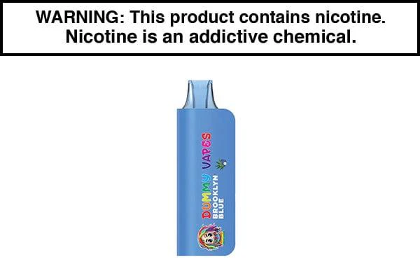 DUMMY VAPES DISPOSABLE - 8000 PUFFS - Image 3